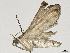  ( - CBG-A35184-D01)  @11 [ ] CreativeCommons - Attribution Share-Alike (2024) CBG Photography Group Centre for Biodiversity Genomics