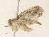  ( - CBG-A36740-H07)  @11 [ ] CreativeCommons - Attribution Share - Alike (2024) CBG Photography Group Centre for Biodiversity Genomics
