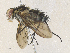  ( - CBG-A36743-H02)  @11 [ ] CreativeCommons - Attribution Share - Alike (2024) CBG Photography Group Centre for Biodiversity Genomics
