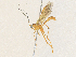  ( - CBG-A36755-H02)  @11 [ ] CreativeCommons - Attribution Share - Alike (2024) CBG Photography Group Centre for Biodiversity Genomics