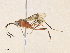  ( - CBG-A36755-H05)  @11 [ ] CreativeCommons - Attribution Share - Alike (2024) CBG Photography Group Centre for Biodiversity Genomics
