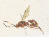  ( - CBG-A36756-C02)  @11 [ ] CreativeCommons - Attribution Share-Alike (2024) CBG Photography Group Centre for Biodiversity Genomics