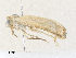  ( - CBG-A36757-C04)  @11 [ ] CreativeCommons - Attribution Share - Alike (2024) CBG Photography Group Centre for Biodiversity Genomics