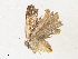  ( - CBG-A36759-A10)  @11 [ ] CreativeCommons - Attribution Share - Alike (2024) CBG Photography Group Centre for Biodiversity Genomics