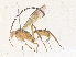  ( - CBG-A36850-B01)  @11 [ ] CreativeCommons - Attribution Share - Alike (2024) CBG Photography Group Centre for Biodiversity Genomics