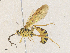  ( - CBG-A31835-H02)  @11 [ ] CreativeCommons - Attribution Share - Alike (2024) CBG Photography Group Centre for Biodiversity Genomics