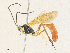  ( - CBG-A34315-E01)  @11 [ ] CreativeCommons - Attribution Share - Alike (2024) CBG Photography Group Centre for Biodiversity Genomics