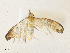  ( - CBG-A34315-G08)  @11 [ ] CreativeCommons - Attribution Share - Alike (2024) CBG Photography Group Centre for Biodiversity Genomics