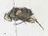  ( - CBG-A35174-D11)  @11 [ ] CreativeCommons - Attribution Share - Alike (2024) CBG Photography Group Centre for Biodiversity Genomics