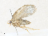  ( - CBG-A35175-B12)  @11 [ ] CreativeCommons - Attribution Share - Alike (2024) CBG Photography Group Centre for Biodiversity Genomics