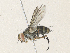  ( - CBG-A35175-G08)  @11 [ ] CreativeCommons - Attribution Share - Alike (2024) CBG Photography Group Centre for Biodiversity Genomics