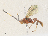  ( - CBG-A35176-B04)  @11 [ ] CreativeCommons - Attribution Share - Alike (2024) CBG Photography Group Centre for Biodiversity Genomics
