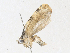  ( - CBG-A35176-F12)  @11 [ ] CreativeCommons - Attribution Share - Alike (2024) CBG Photography Group Centre for Biodiversity Genomics