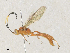  ( - CBG-A35177-F03)  @11 [ ] CreativeCommons - Attribution Share - Alike (2024) CBG Photography Group Centre for Biodiversity Genomics