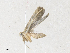  ( - CBG-A35177-F09)  @11 [ ] CreativeCommons - Attribution Share - Alike (2024) CBG Photography Group Centre for Biodiversity Genomics