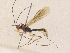  ( - CBG-A35177-H04)  @11 [ ] CreativeCommons - Attribution Share - Alike (2024) CBG Photography Group Centre for Biodiversity Genomics