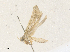  ( - CBG-A35178-C06)  @11 [ ] CreativeCommons - Attribution Share - Alike (2024) CBG Photography Group Centre for Biodiversity Genomics