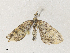  ( - CBG-A36825-C06)  @11 [ ] CreativeCommons - Attribution Share - Alike (2024) CBG Photography Group Centre for Biodiversity Genomics