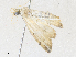  ( - CBG-A36825-D10)  @11 [ ] CreativeCommons - Attribution Share - Alike (2024) CBG Photography Group Centre for Biodiversity Genomics