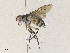  ( - CBG-A36825-E04)  @11 [ ] CreativeCommons - Attribution Share - Alike (2024) CBG Photography Group Centre for Biodiversity Genomics