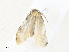  ( - CBG-A36827-B06)  @11 [ ] CreativeCommons - Attribution Share - Alike (2024) CBG Photography Group Centre for Biodiversity Genomics