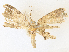  ( - CBG-A36829-E09)  @11 [ ] CreativeCommons - Attribution Share - Alike (2024) CBG Photography Group Centre for Biodiversity Genomics