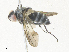  ( - CBG-A36830-A07)  @11 [ ] CreativeCommons - Attribution Share - Alike (2024) CBG Photography Group Centre for Biodiversity Genomics