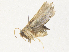  ( - CBG-A34359-C04)  @11 [ ] CreativeCommons - Attribution Share - Alike (2024) CBG Photography Group Centre for Biodiversity Genomics
