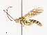  ( - CBG-A34360-A07)  @11 [ ] CreativeCommons - Attribution Share - Alike (2024) CBG Photography Group Centre for Biodiversity Genomics