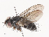  ( - CBG-A34360-C07)  @11 [ ] CreativeCommons - Attribution Share - Alike (2024) CBG Photography Group Centre for Biodiversity Genomics