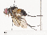  ( - CBG-A34360-C10)  @11 [ ] CreativeCommons - Attribution Share - Alike (2024) CBG Photography Group Centre for Biodiversity Genomics