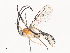  ( - CBG-A34360-E09)  @11 [ ] CreativeCommons - Attribution Share - Alike (2024) CBG Photography Group Centre for Biodiversity Genomics