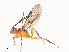  ( - CBG-A34360-F07)  @11 [ ] CreativeCommons - Attribution Share - Alike (2024) CBG Photography Group Centre for Biodiversity Genomics