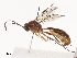  ( - CBG-A38480-B01)  @11 [ ] CreativeCommons - Attribution Share - Alike (2024) CBG Photography Group Centre for Biodiversity Genomics