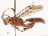  ( - CBG-A38480-C05)  @11 [ ] CreativeCommons - Attribution Share - Alike (2024) CBG Photography Group Centre for Biodiversity Genomics