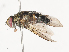  ( - CBG-A38482-A05)  @11 [ ] CreativeCommons - Attribution Share - Alike (2024) CBG Photography Group Centre for Biodiversity Genomics