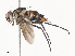  ( - CBG-A38482-A08)  @11 [ ] CreativeCommons - Attribution Share - Alike (2024) CBG Photography Group Centre for Biodiversity Genomics