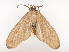  ( - CBG-A38482-G05)  @11 [ ] CreativeCommons - Attribution Share - Alike (2024) CBG Photography Group Centre for Biodiversity Genomics