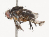  ( - CBG-A38484-B10)  @11 [ ] CreativeCommons - Attribution Share - Alike (2024) CBG Photography Group Centre for Biodiversity Genomics