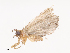  ( - CBG-A40186-D07)  @11 [ ] CreativeCommons - Attribution Share - Alike (2024) CBG Photography Group Centre for Biodiversity Genomics