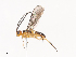  ( - CBG-A40186-E04)  @11 [ ] CreativeCommons - Attribution Share - Alike (2024) CBG Photography Group Centre for Biodiversity Genomics