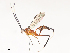  ( - CBG-A40186-G01)  @11 [ ] CreativeCommons - Attribution Share - Alike (2024) CBG Photography Group Centre for Biodiversity Genomics