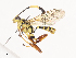  ( - CBG-A40188-E05)  @11 [ ] CreativeCommons - Attribution Share - Alike (2024) CBG Photography Group Centre for Biodiversity Genomics