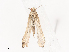 ( - CBG-A40188-G06)  @11 [ ] CreativeCommons - Attribution Share - Alike (2024) CBG Photography Group Centre for Biodiversity Genomics