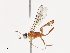  ( - CBG-A40190-C09)  @11 [ ] CreativeCommons - Attribution Share - Alike (2024) CBG Photography Group Centre for Biodiversity Genomics