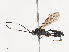  (ichJanzen01 Janzen7512 - CBG-A40190-D06)  @11 [ ] CreativeCommons - Attribution Share - Alike (2024) CBG Photography Group Centre for Biodiversity Genomics
