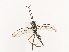  ( - CBG-A40190-F02)  @11 [ ] CreativeCommons - Attribution Share - Alike (2024) CBG Photography Group Centre for Biodiversity Genomics