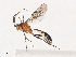  ( - CBG-A40190-F08)  @11 [ ] CreativeCommons - Attribution Share - Alike (2024) CBG Photography Group Centre for Biodiversity Genomics