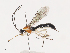  ( - CBG-A40190-F10)  @11 [ ] CreativeCommons - Attribution Share - Alike (2024) CBG Photography Group Centre for Biodiversity Genomics