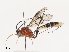  ( - CBG-A40190-G07)  @11 [ ] CreativeCommons - Attribution Share - Alike (2024) CBG Photography Group Centre for Biodiversity Genomics